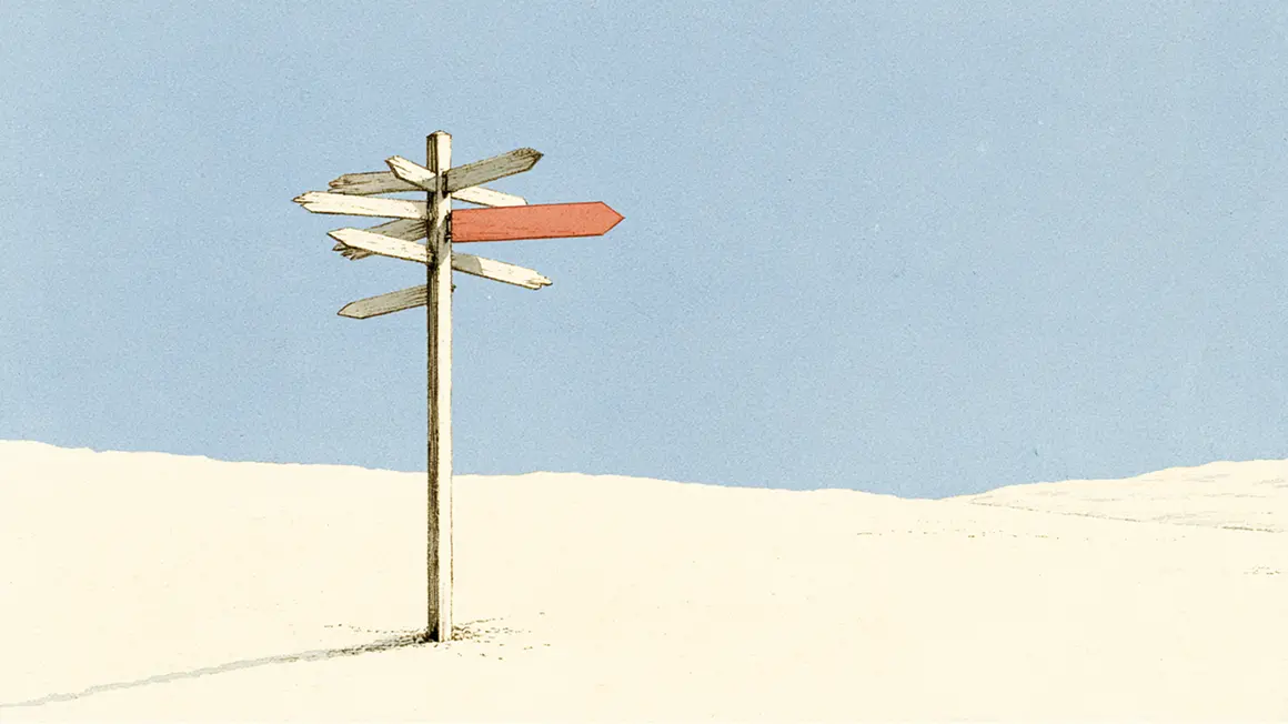 How choice research explains shorter service pages